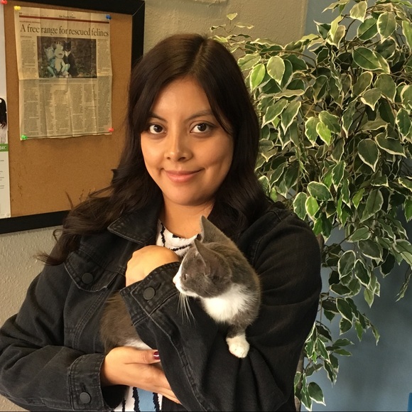 Hello 😄🐶❤️🐶 - Picture 5 of 11